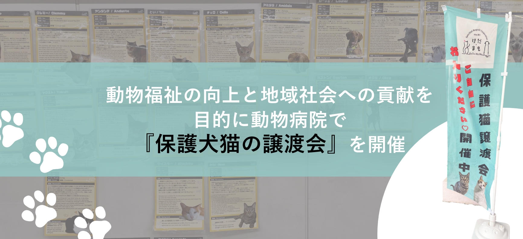 動物福祉の向上と地域社会への貢献を目的に、動物病院で保護犬猫の譲渡会を開催